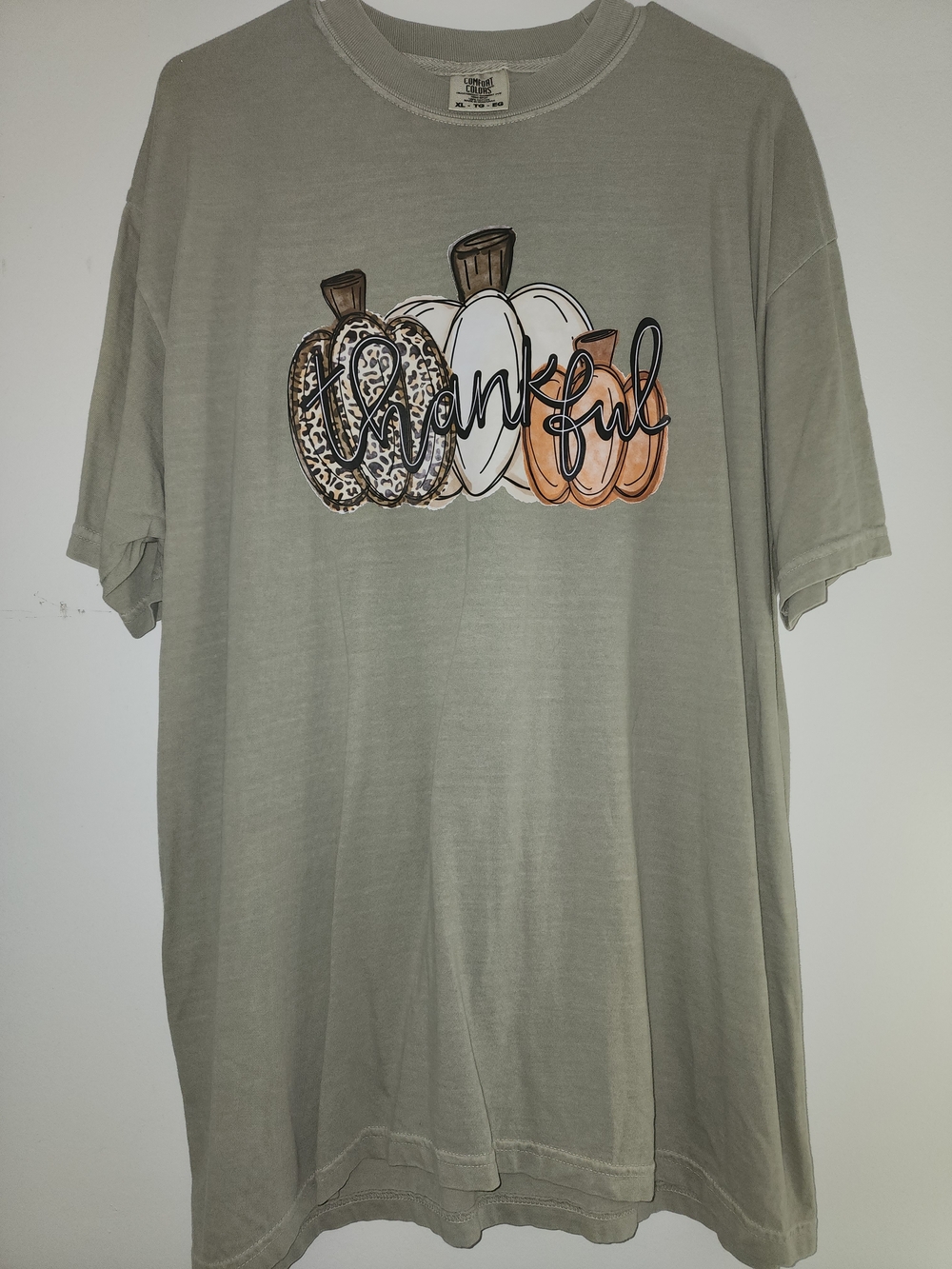 Comfort Colors Xl Fall Sage Thankful Pumpkin Graphic Tee